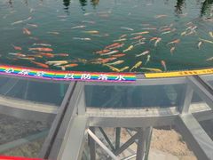 -牛鱼嘴原始生态风景区