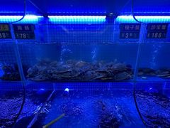 -启东小海鲜(庄先湾路1号店)