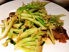 -江湖情酸菜鱼(万菱汇店)