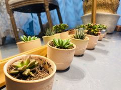 -糖果时光文创产业园