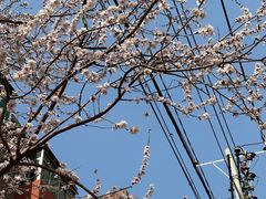 -肯德基(南五店)