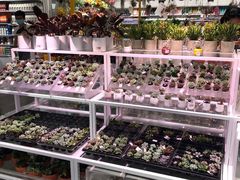 -KKV(深圳宏发大仟里店)