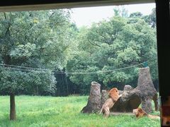 -杭州野生动物世界