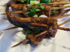 -晓靖轩烧烤(沙河风情店)