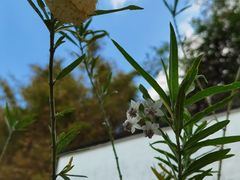 -广州神农草堂中医药博物馆