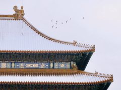 -故宫博物院(故宫)