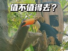 -灵玲国际马戏城