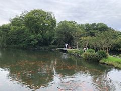 -西湖外事游船(花港观鱼码头)