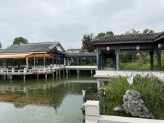 -天屿湖