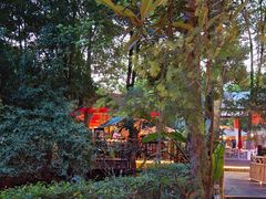 -二荆条·蜀鲜汇城市森林火锅