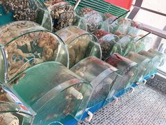-仙螺岛海鲜自助餐厅(总店)