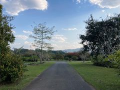-中国科学院西双版纳热带植物园