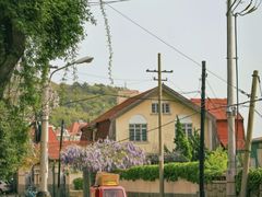 -八大关景区