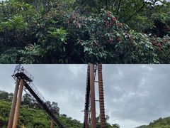 -黄埔油麻山森林公园