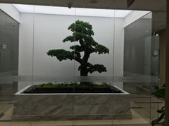 -柏乐口腔医院·舒适化无痛种植牙中心(东盟商务区院)