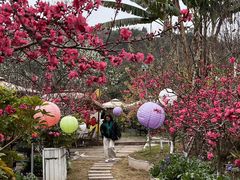 -桃源山庄·水蜜桃采摘·柴火鸡·烧烤团建(龙泉山店)