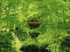 -三千院