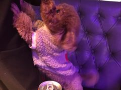 -鸣记脆皮烤鱼·海鲜烤鱼(三八广场店)