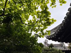 -豫园