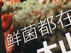 -野·大山里野生菌石锅土鸡(益田假日店)