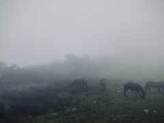 -硗碛藏寨·神木垒景区