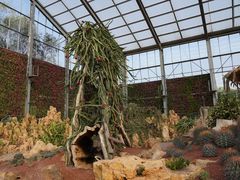 -南通洲际绿博园