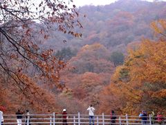 -光雾山旅游景区