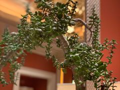 -拉斯维加斯永利酒店