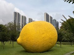 -顺峰山公园