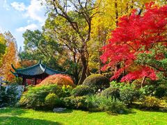 -中山公园