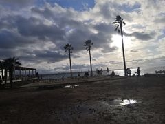 -Cafe Aewol Monsant