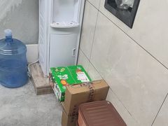 -半岛宠物医院24小时(白果林店)