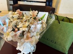 -Gucci(青岛海信广场店)