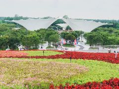 -东平国家森林公园