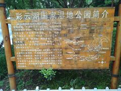 -重庆彩云湖湿地公园
