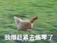 -小确幸吉他(北大街校区)