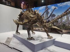 -国家自然博物馆