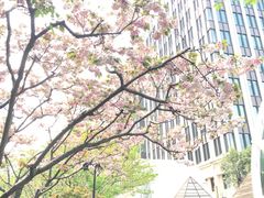 -精悦蓉(正大乐城店)