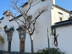 -广富林郊野公园