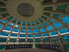 -西雅图水族馆