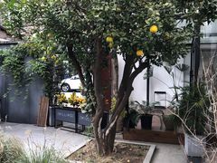 -Willing·Coffee&Brunch&Dinner(万达店)