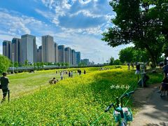 -长白岛森林公园