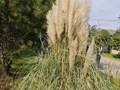 -汉长安城未央宫国家考古遗址公园