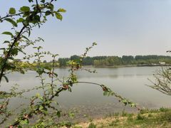 -东郊湿地公园