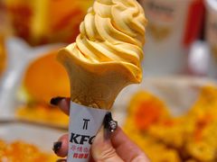 -肯德基(星河店)
