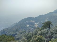 -缙云山景区