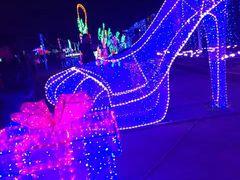 -广东茂名森林公园