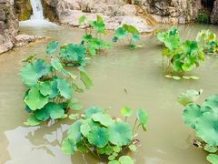 -桑干河大峡谷旅游区