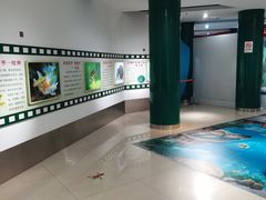 -上海昆虫博物馆