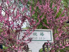 -石家庄市植物园